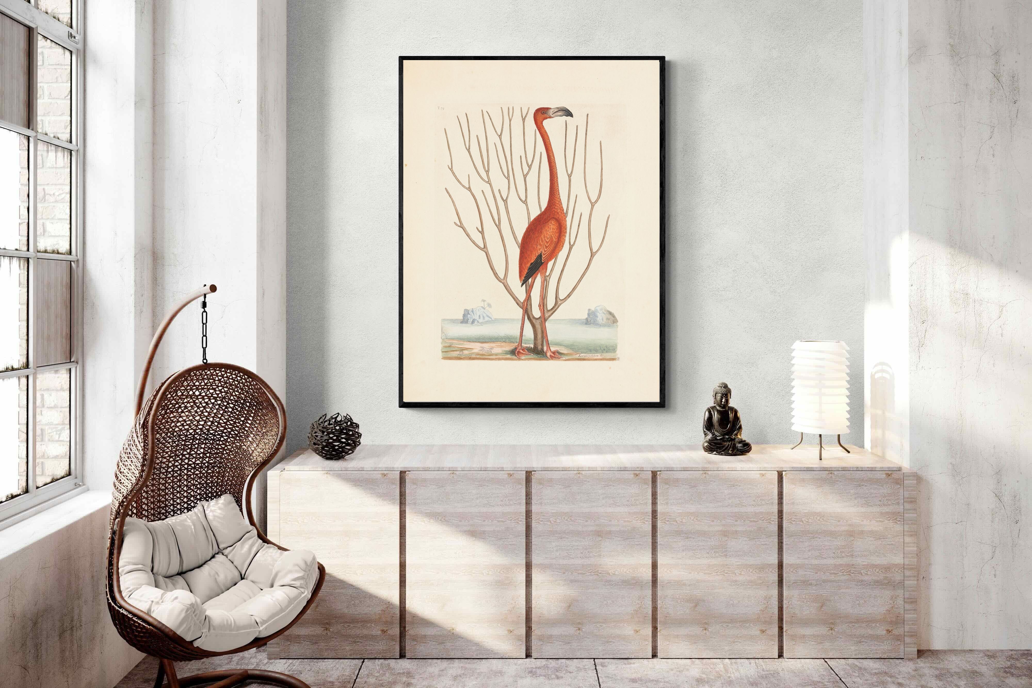 Pixalot Vintage Flamingo