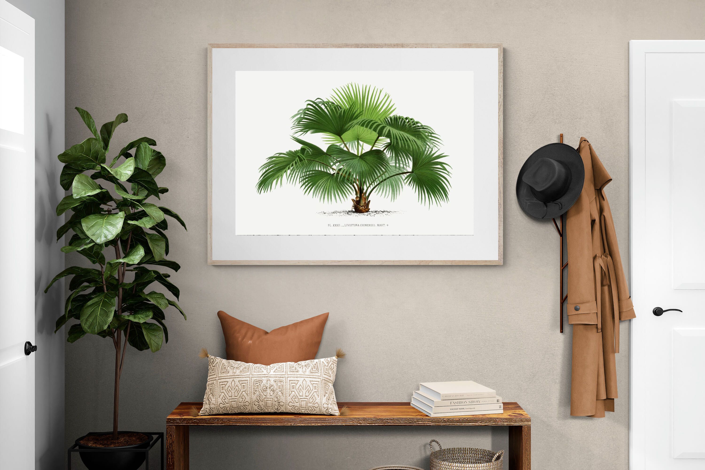 Pixalot Vintage Palm Illustration #1