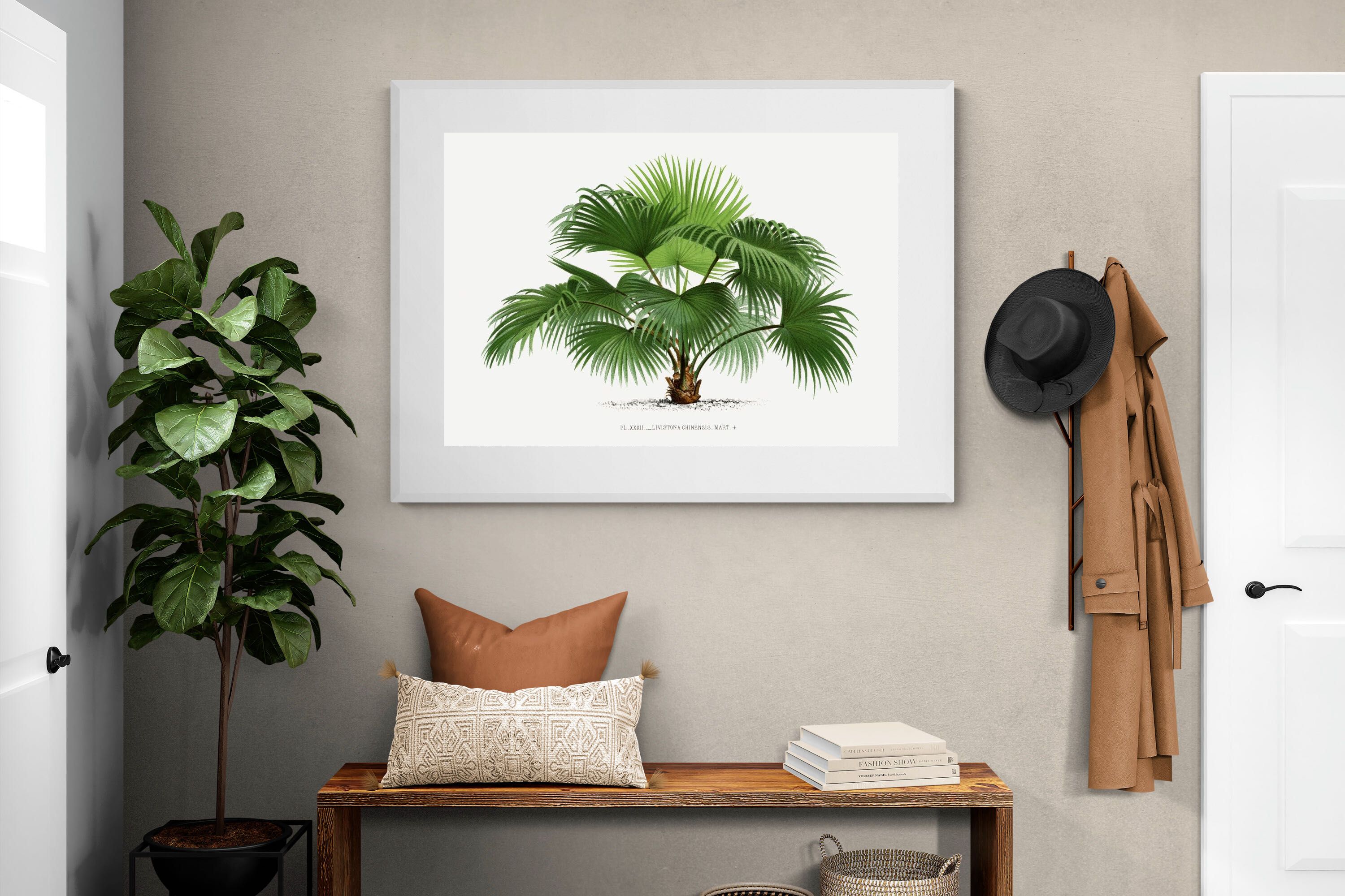 Pixalot Vintage Palm Illustration #1