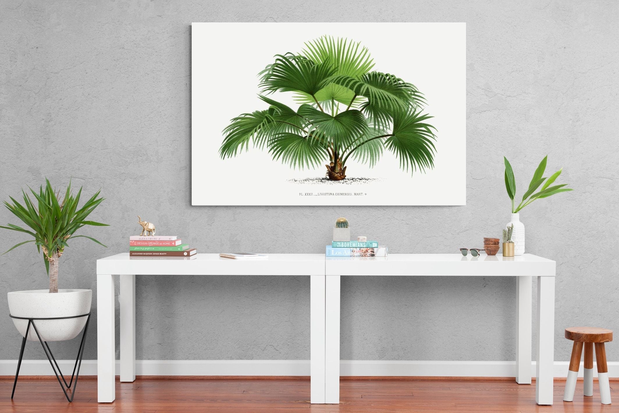 Pixalot Vintage Palm Illustration #1