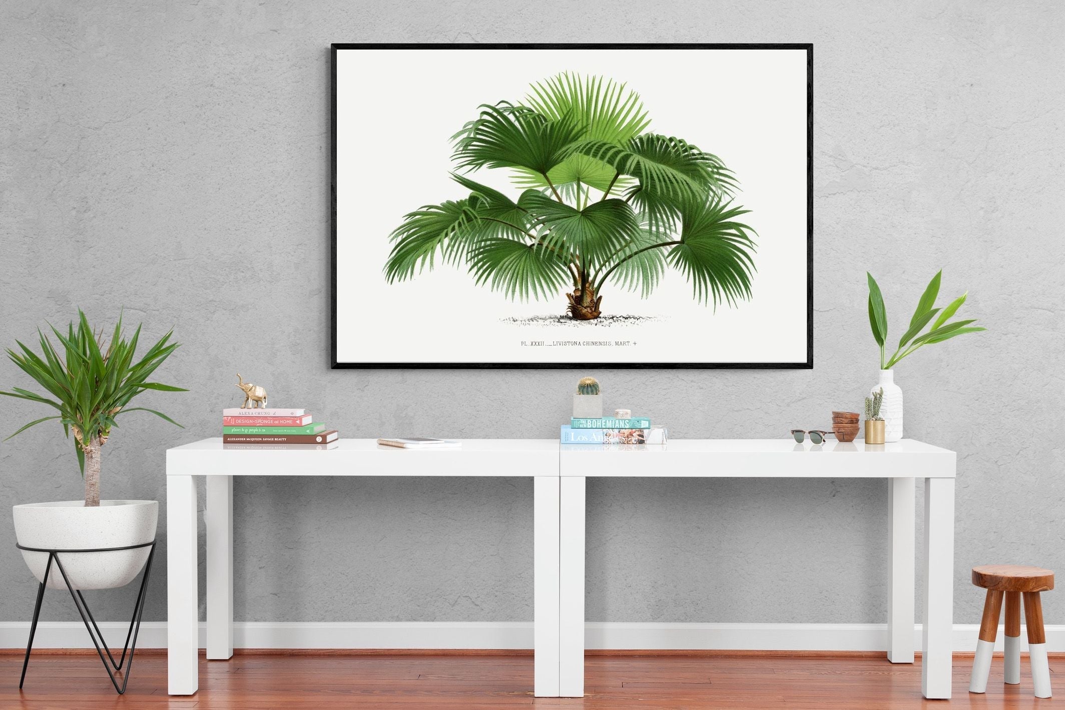 Pixalot Vintage Palm Illustration #1