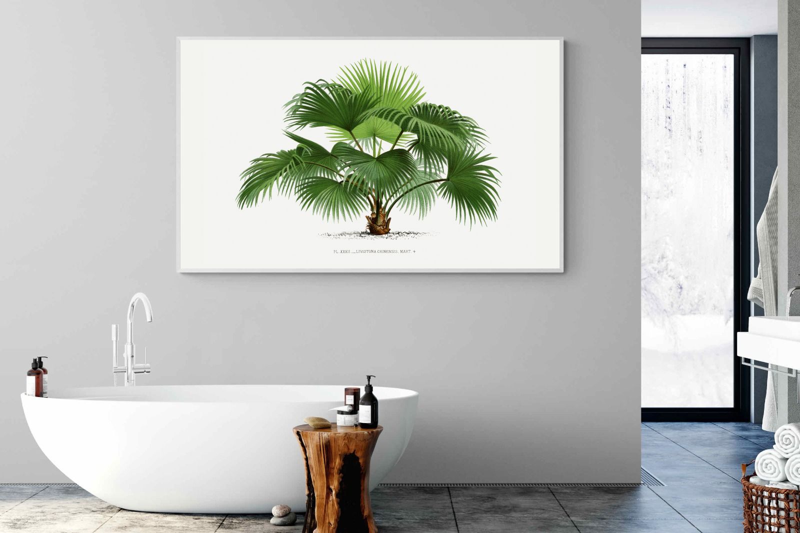 Pixalot Vintage Palm Illustration #1