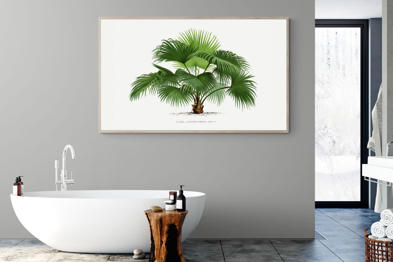 Pixalot Vintage Palm Illustration #1