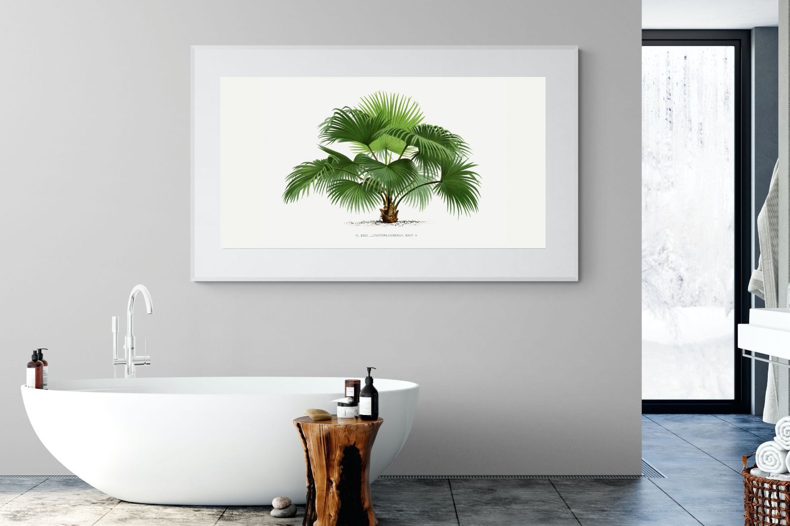 Pixalot Vintage Palm Illustration #1