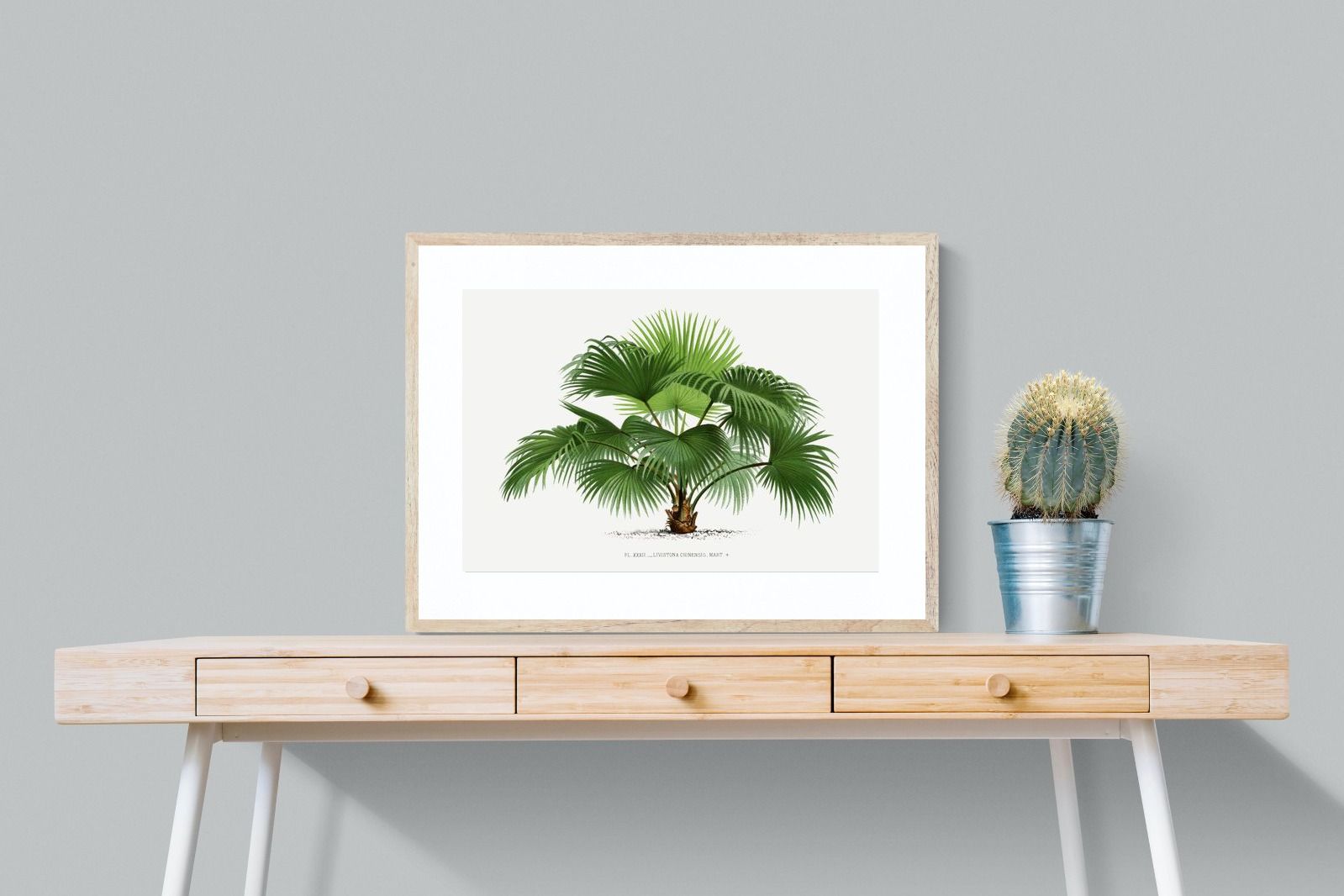 Pixalot Vintage Palm Illustration #1