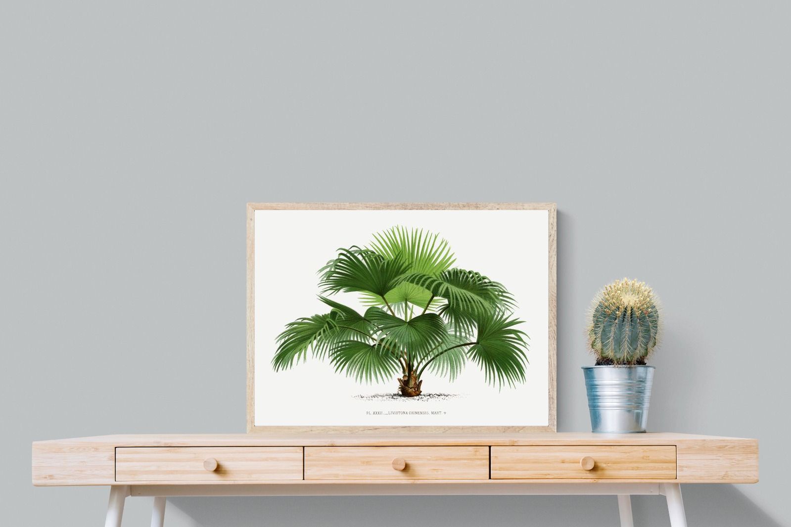 Pixalot Vintage Palm Illustration #1