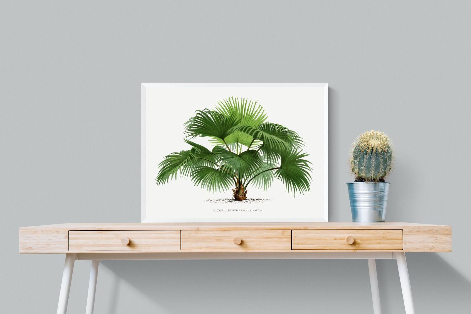 Pixalot Vintage Palm Illustration #1