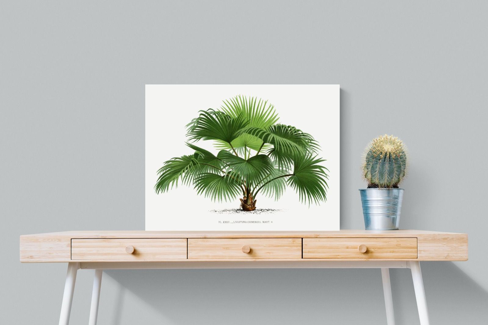 Pixalot Vintage Palm Illustration #1