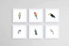 Watercolour Birds Set-Wall_Art-30 x 30cm (x6)-Framed Print-White-Pixalot