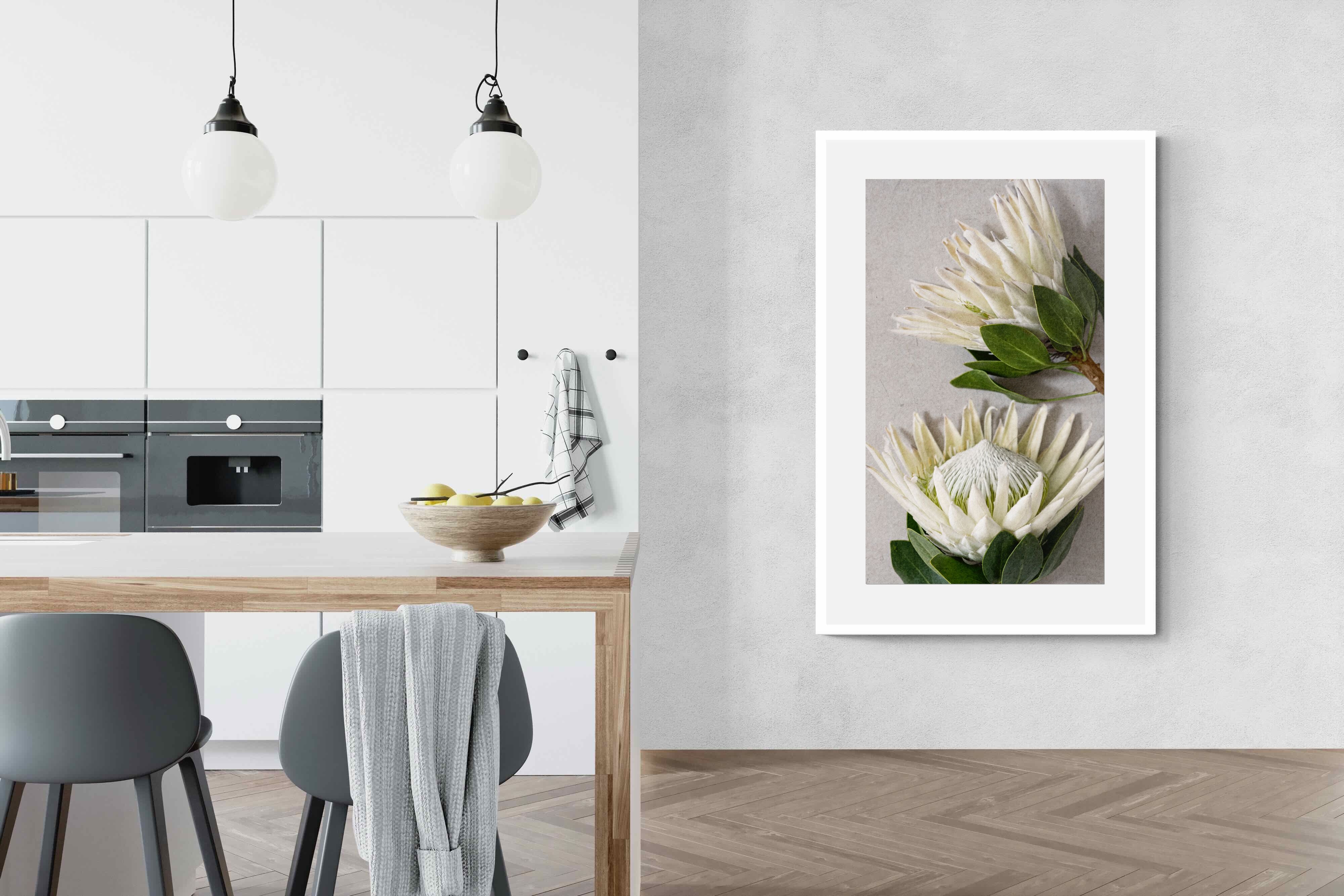 Pixalot White King Protea Duo