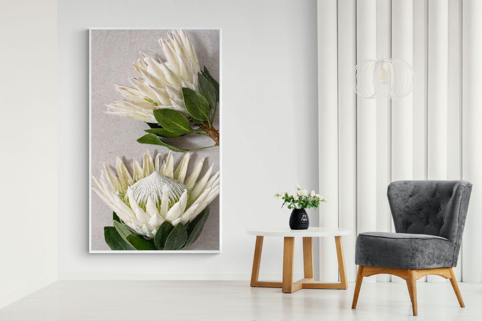 Pixalot White King Protea Duo