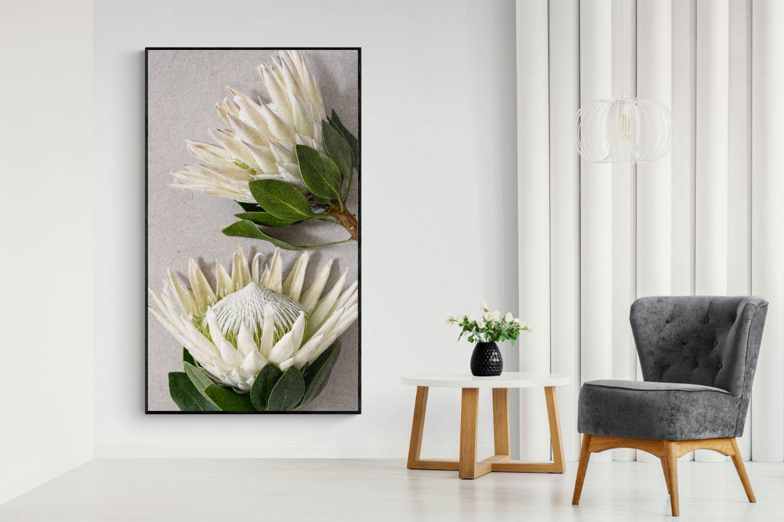 Pixalot White King Protea Duo