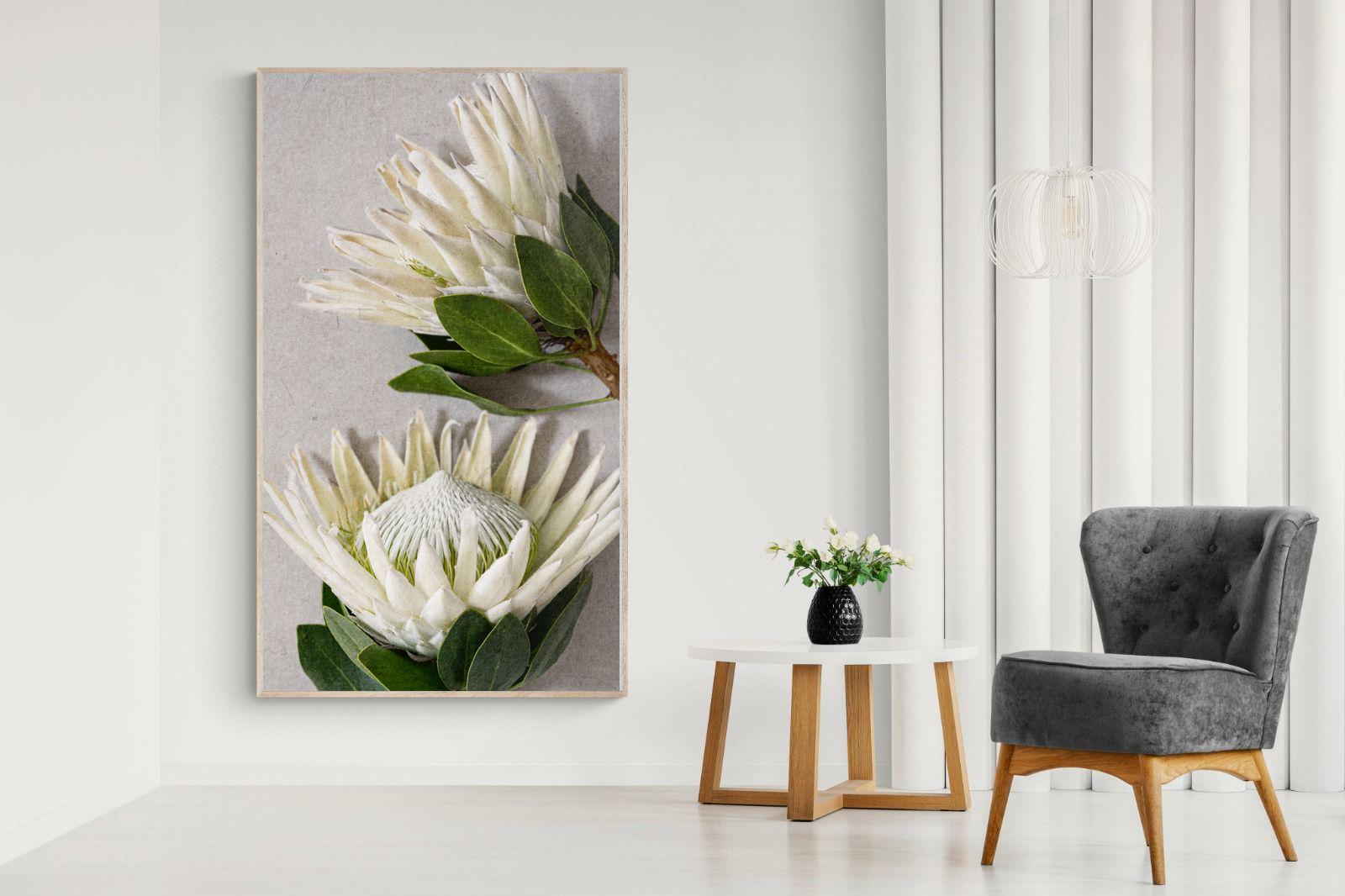 Pixalot White King Protea Duo