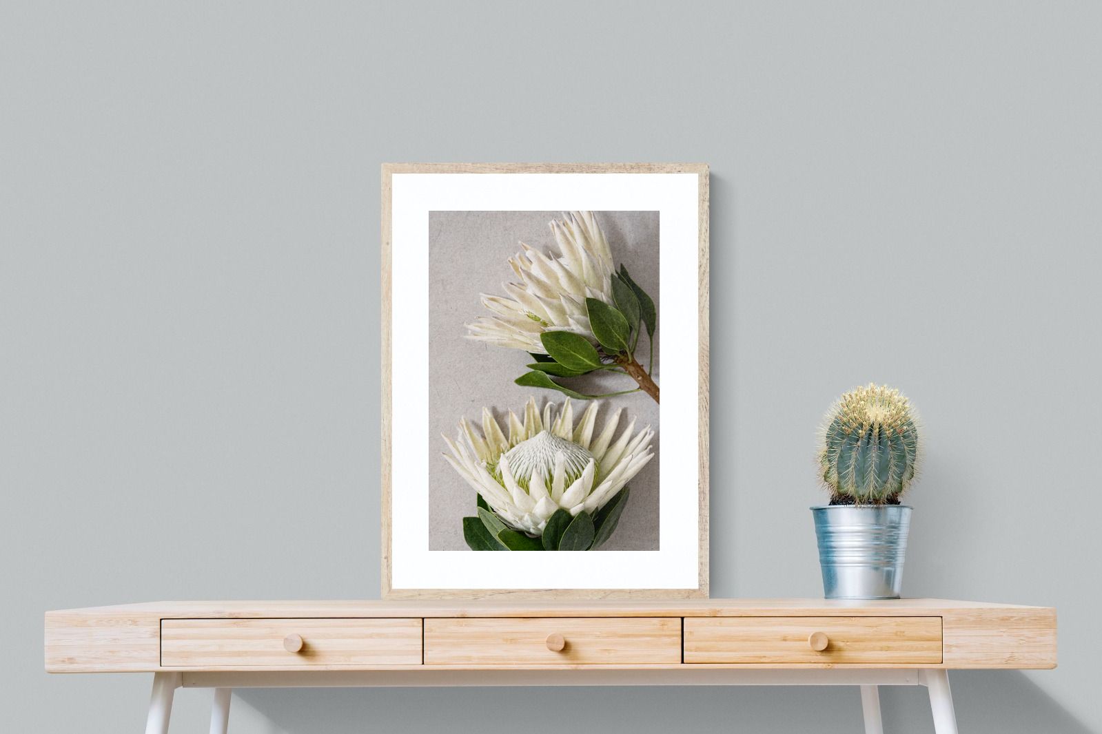 Pixalot White King Protea Duo