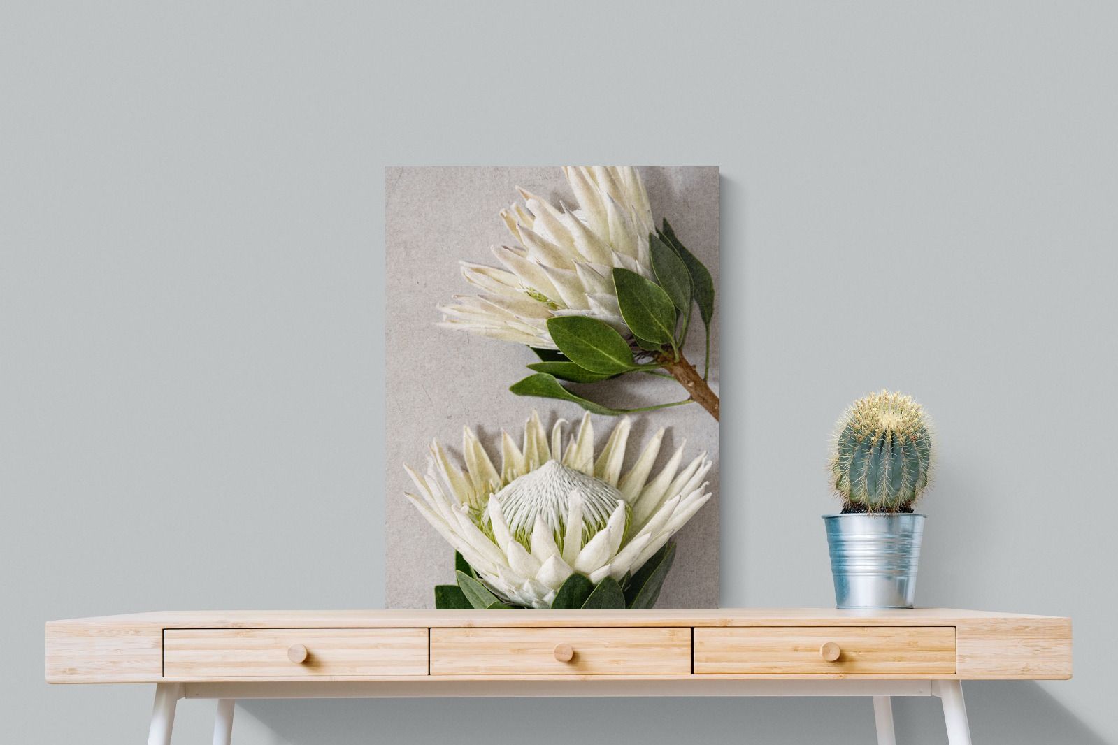 Pixalot White King Protea Duo