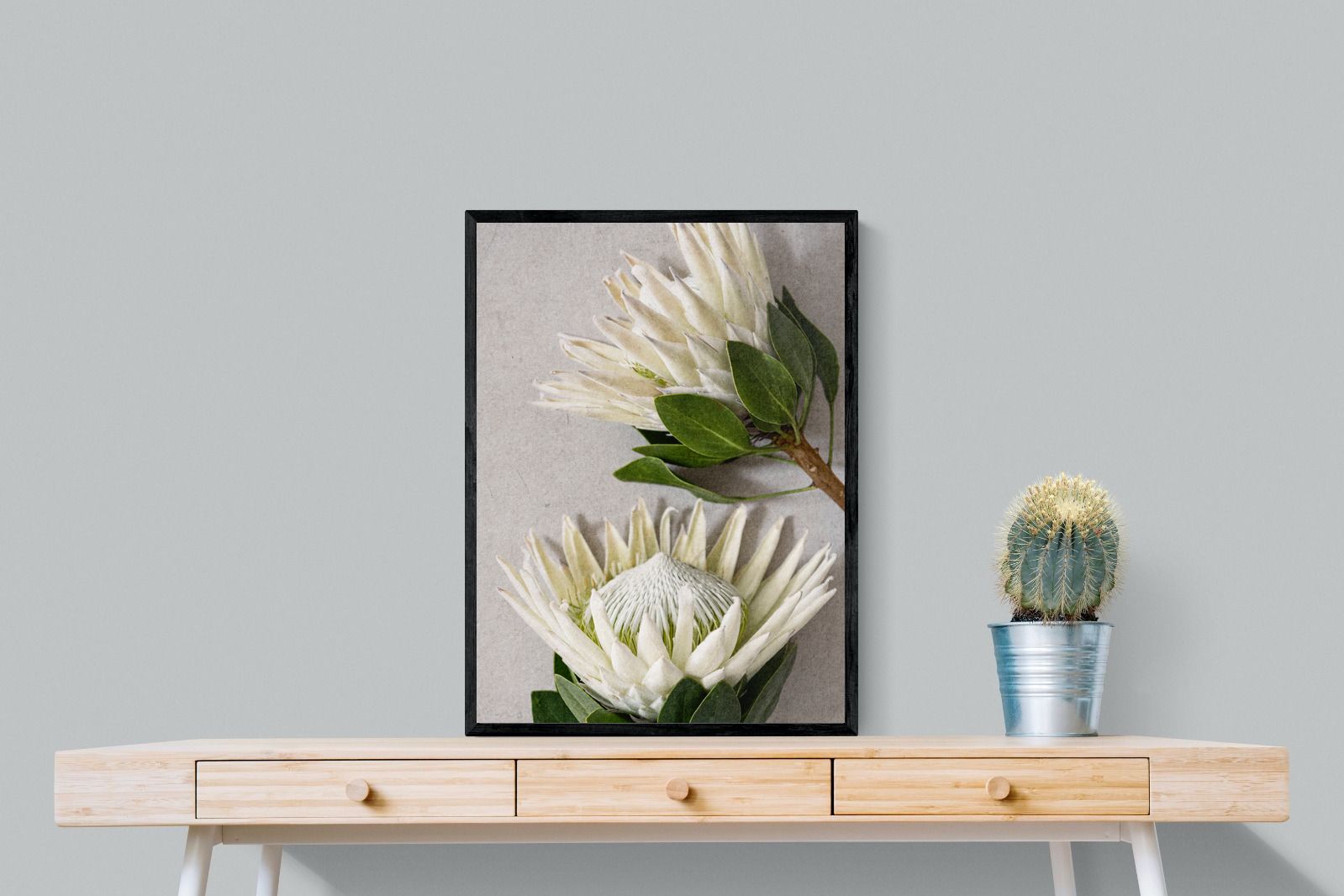 Pixalot White King Protea Duo