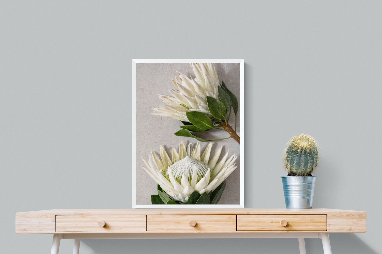 Pixalot White King Protea Duo