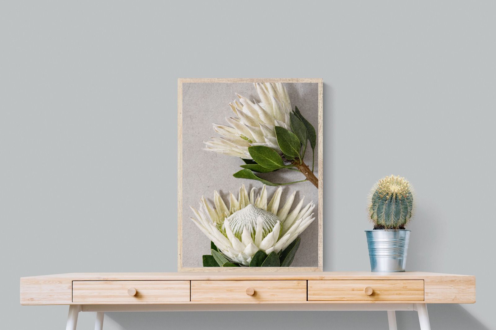 Pixalot White King Protea Duo