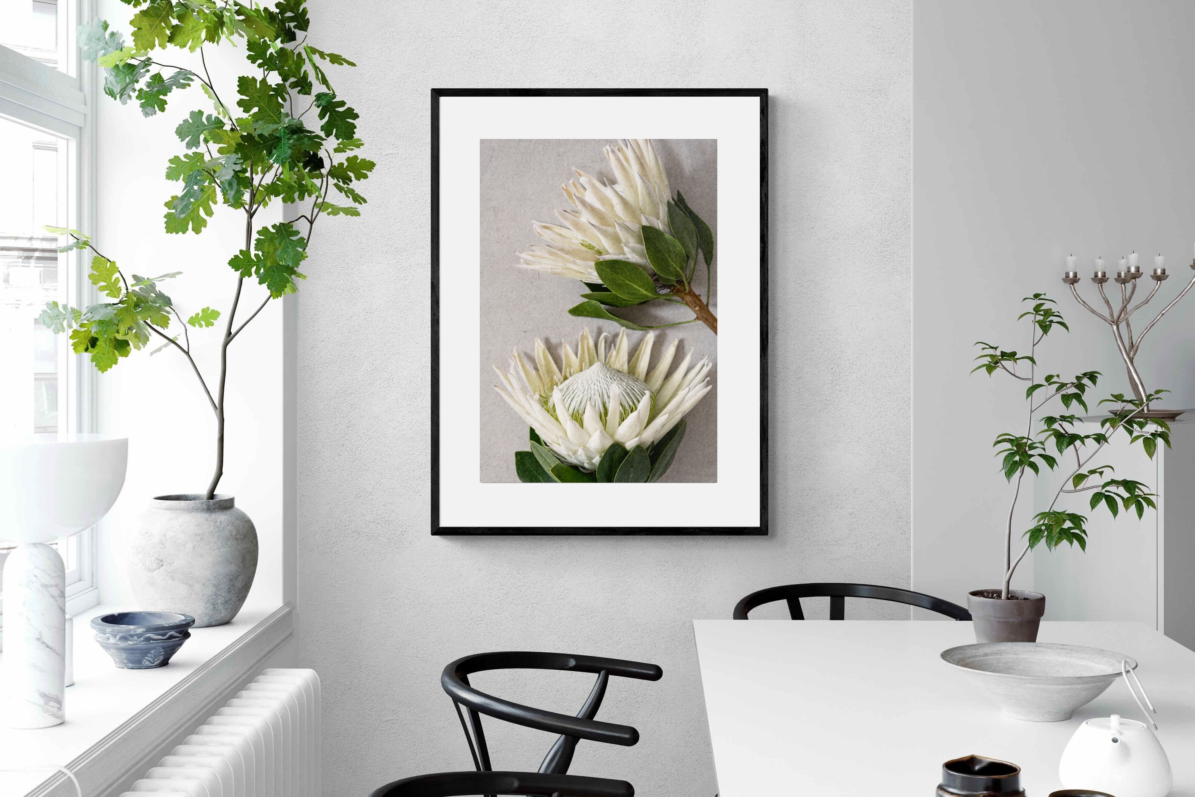 Pixalot White King Protea Duo