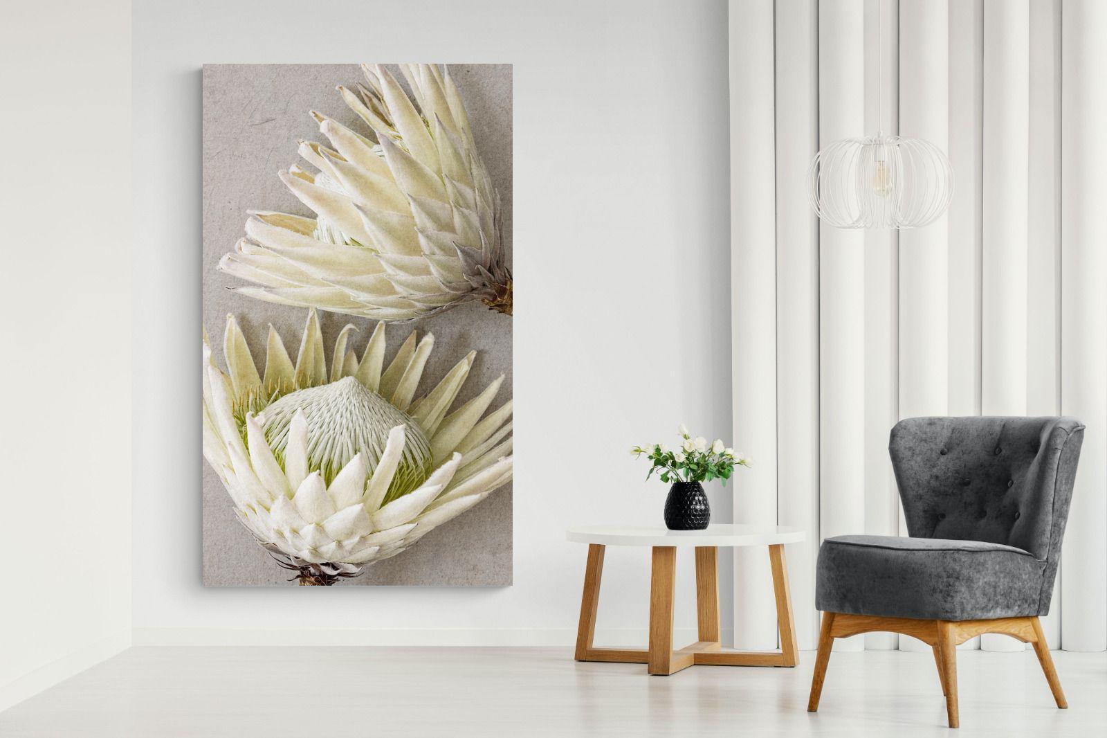 Pixalot White King Protea Pair