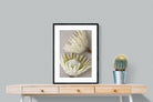 Pixalot White King Protea Pair