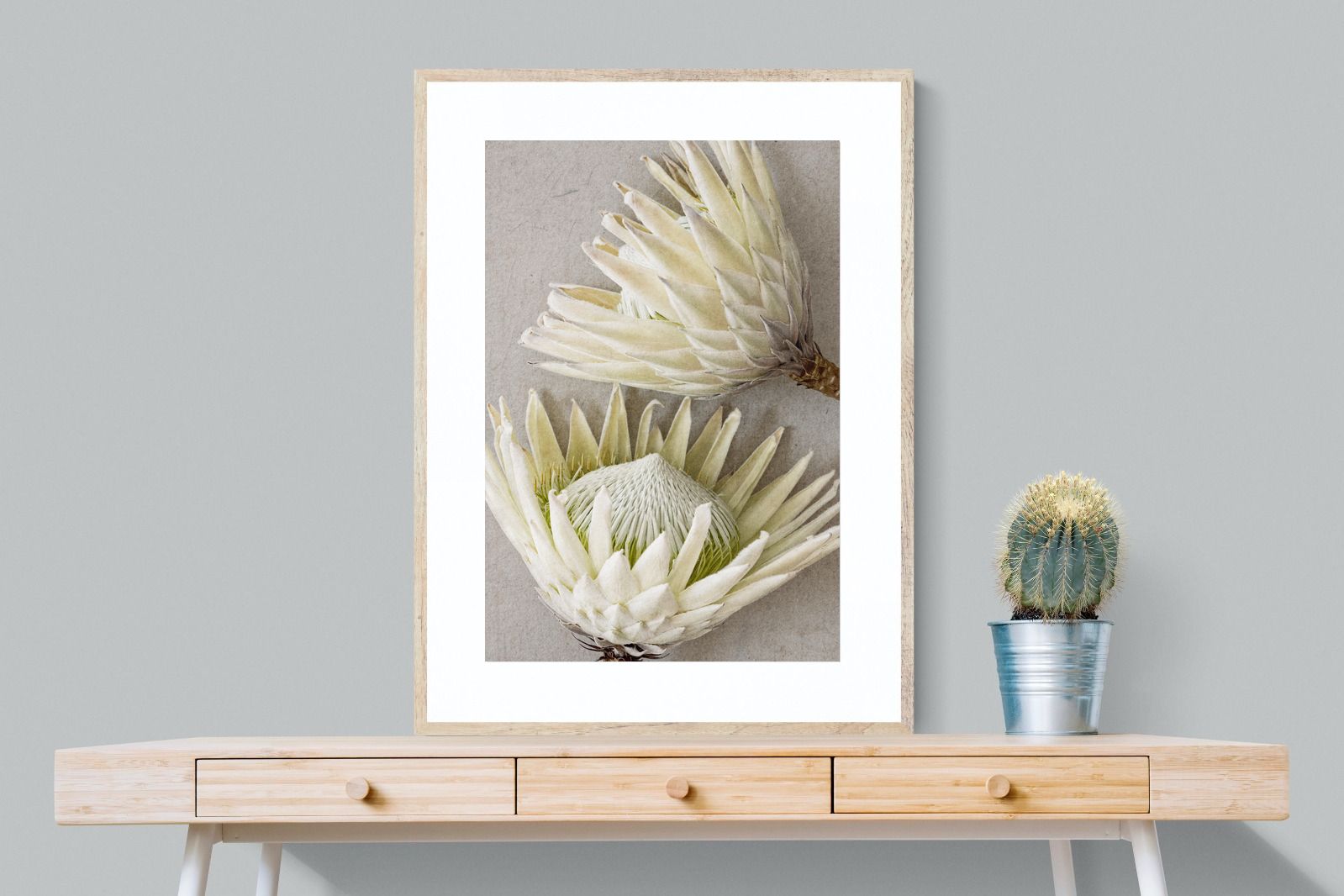 Pixalot White King Protea Pair