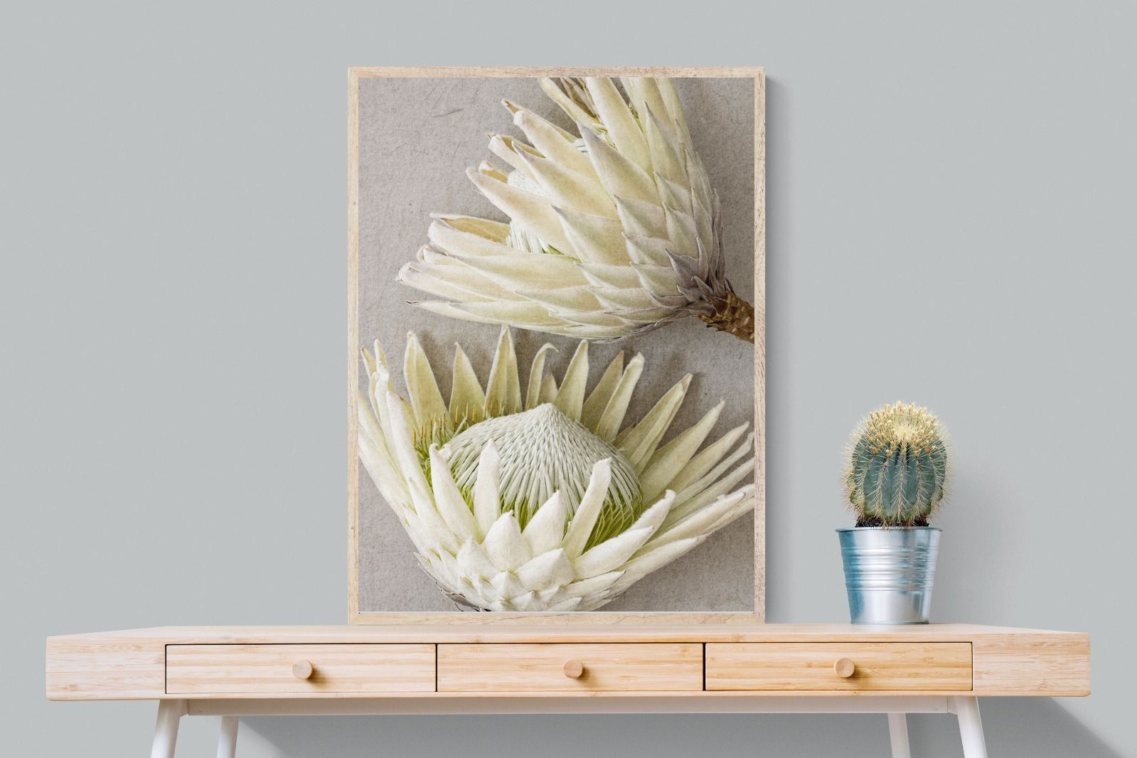 Pixalot White King Protea Pair