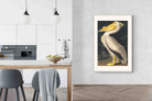 Pixalot White Pelican (Birds of America 1827)