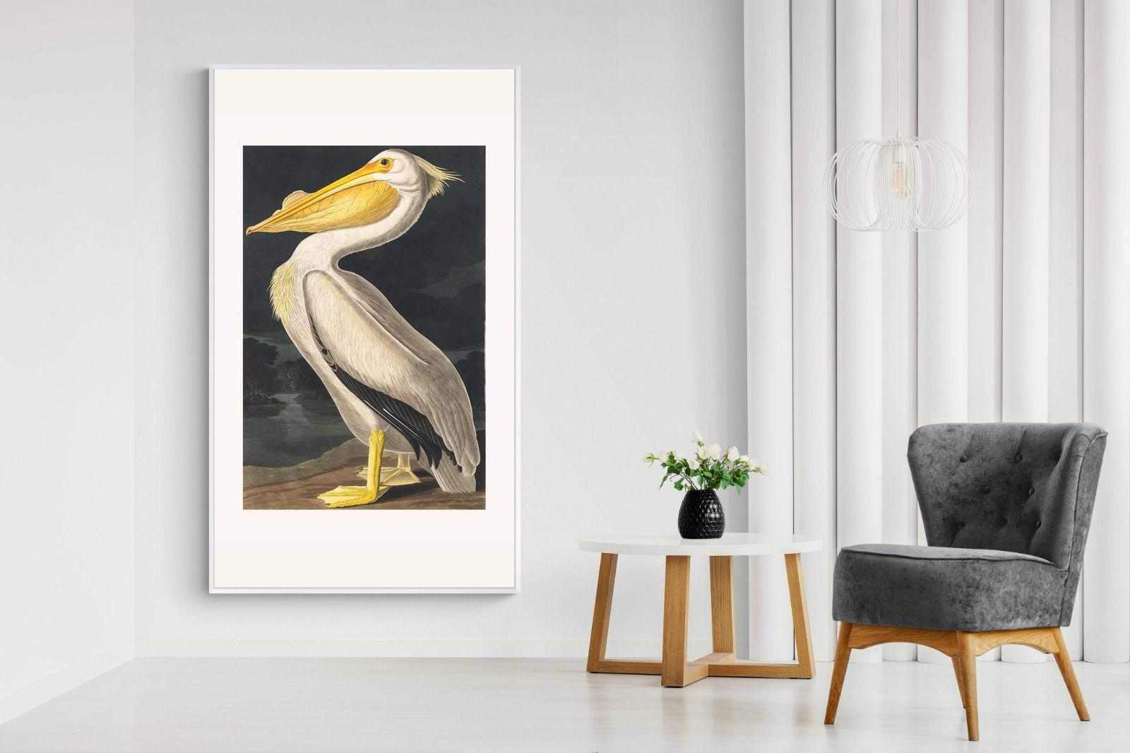 Pixalot White Pelican (Birds of America 1827)