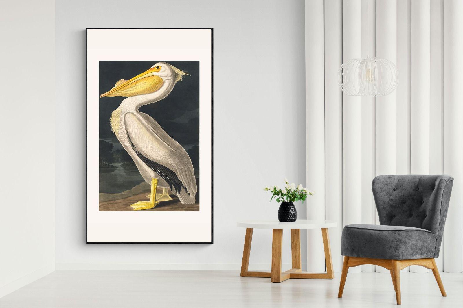 Pixalot White Pelican (Birds of America 1827)