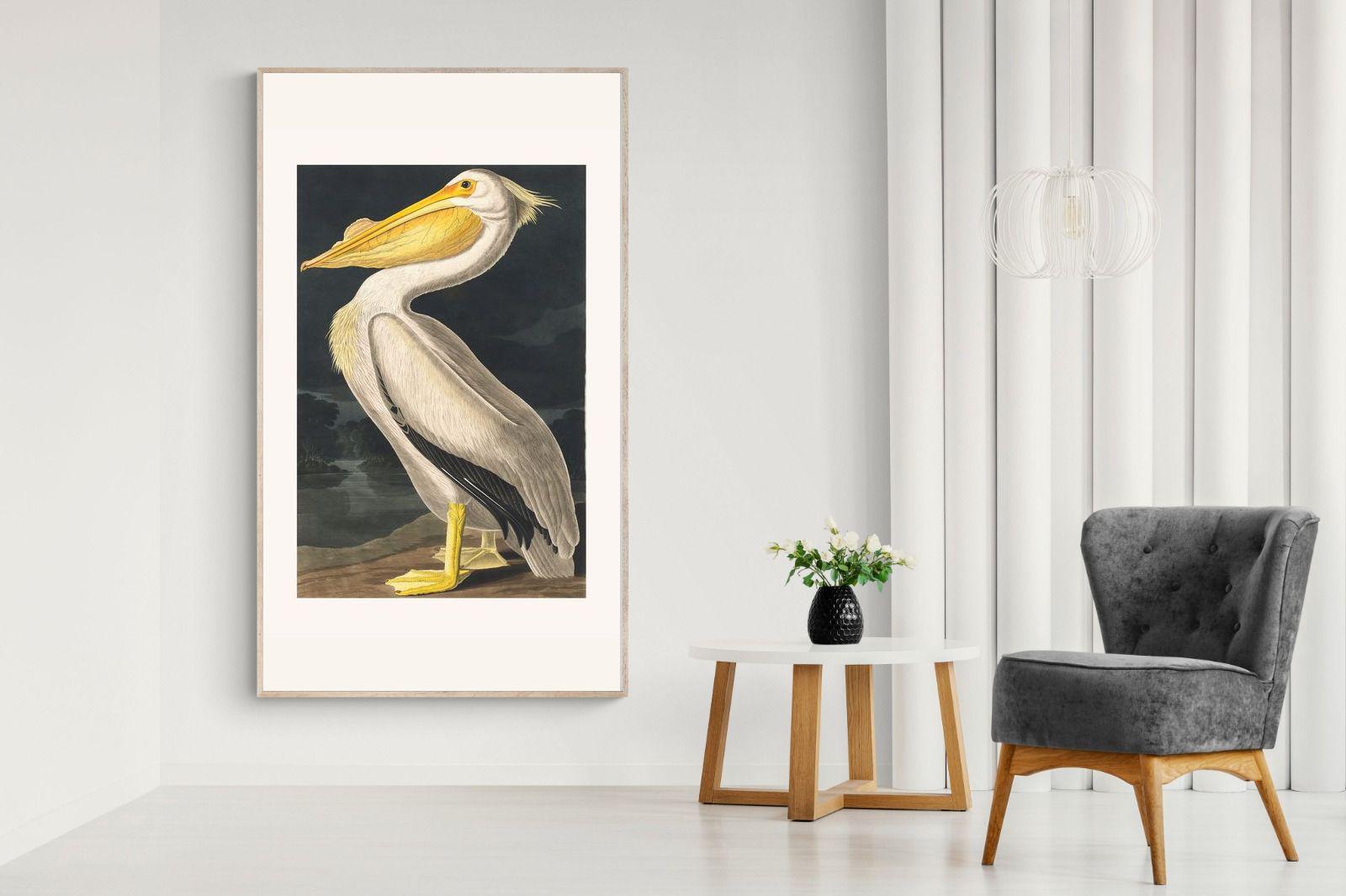 Pixalot White Pelican (Birds of America 1827)