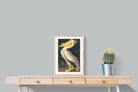 Pixalot White Pelican (Birds of America 1827)
