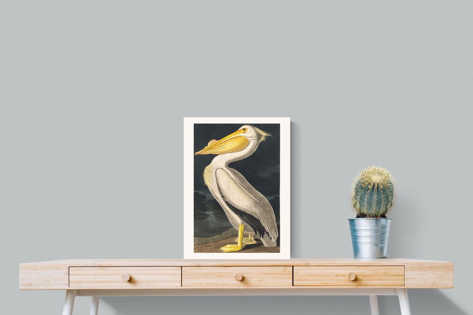 Pixalot White Pelican (Birds of America 1827)