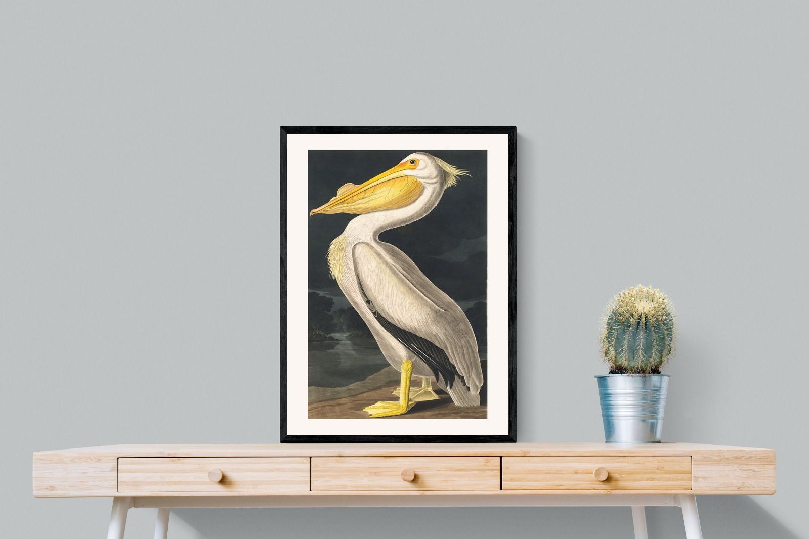 Pixalot White Pelican (Birds of America 1827)