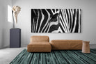 Pixalot Zebra Eye