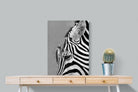 Zebra Sip-Wall_Art-60 x 80cm-Mounted Canvas-No Frame-Pixalot