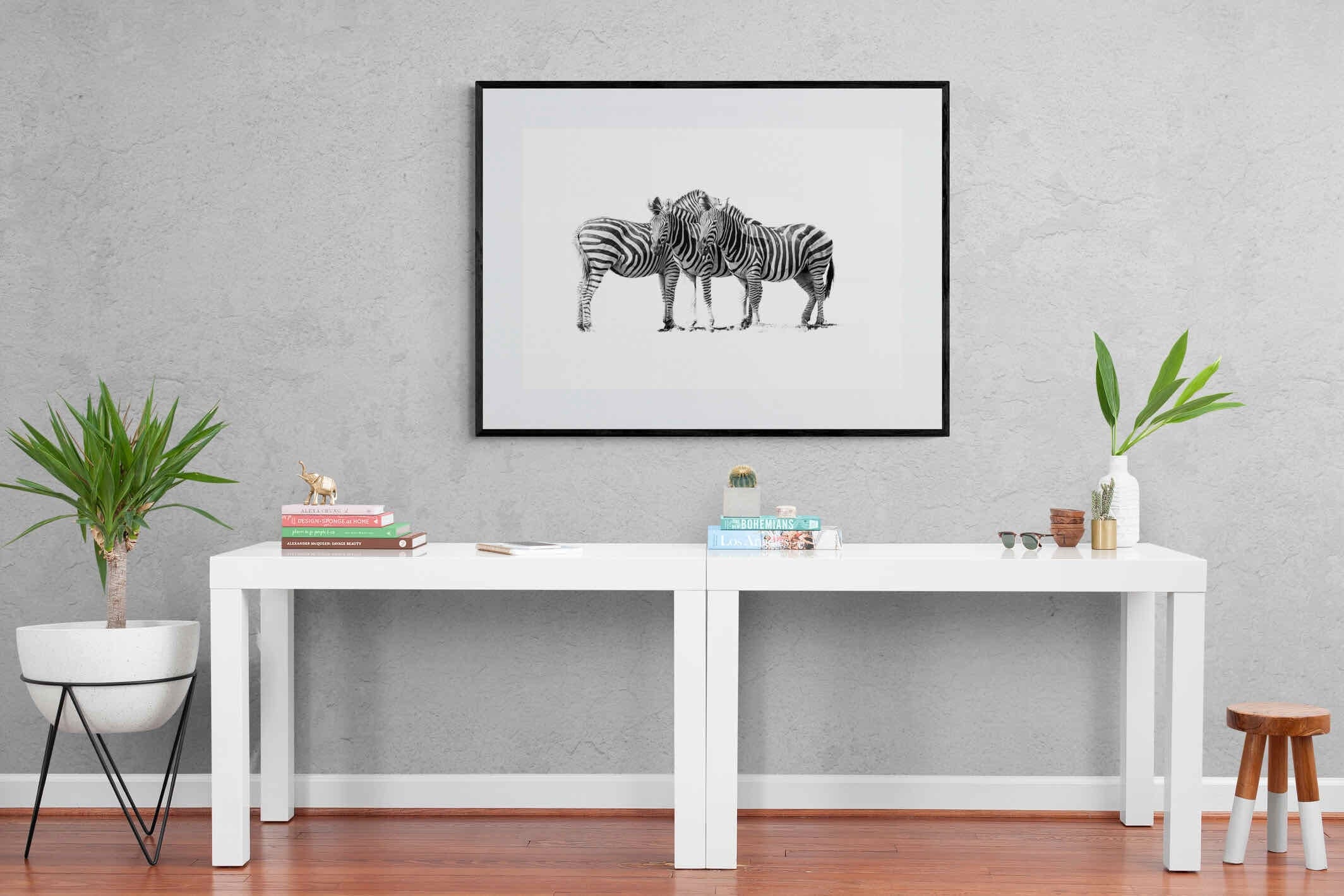 Zebra Trio-Wall_Art-120 x 90cm-Framed Print-Black-Pixalot