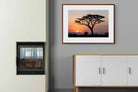 Pixalot ® Acacia Sunset