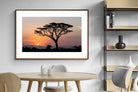 Pixalot ® Acacia Sunset