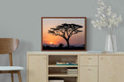 Pixalot ® Acacia Sunset