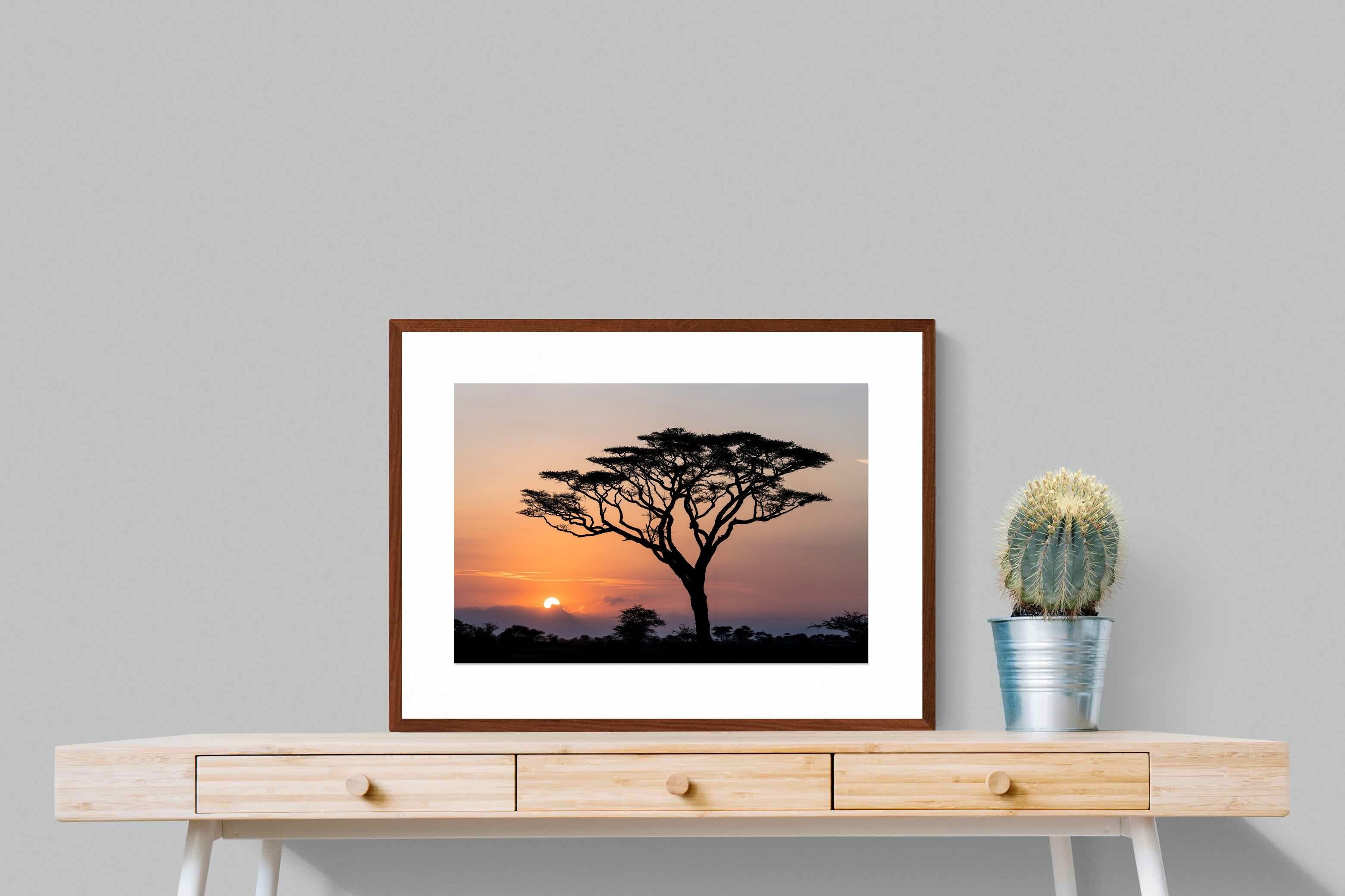 Pixalot ® Acacia Sunset