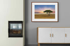 Pixalot ® Acacia Tree