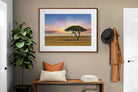Pixalot ® Acacia Tree