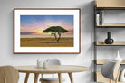 Pixalot ® Acacia Tree
