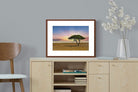Pixalot ® Acacia Tree