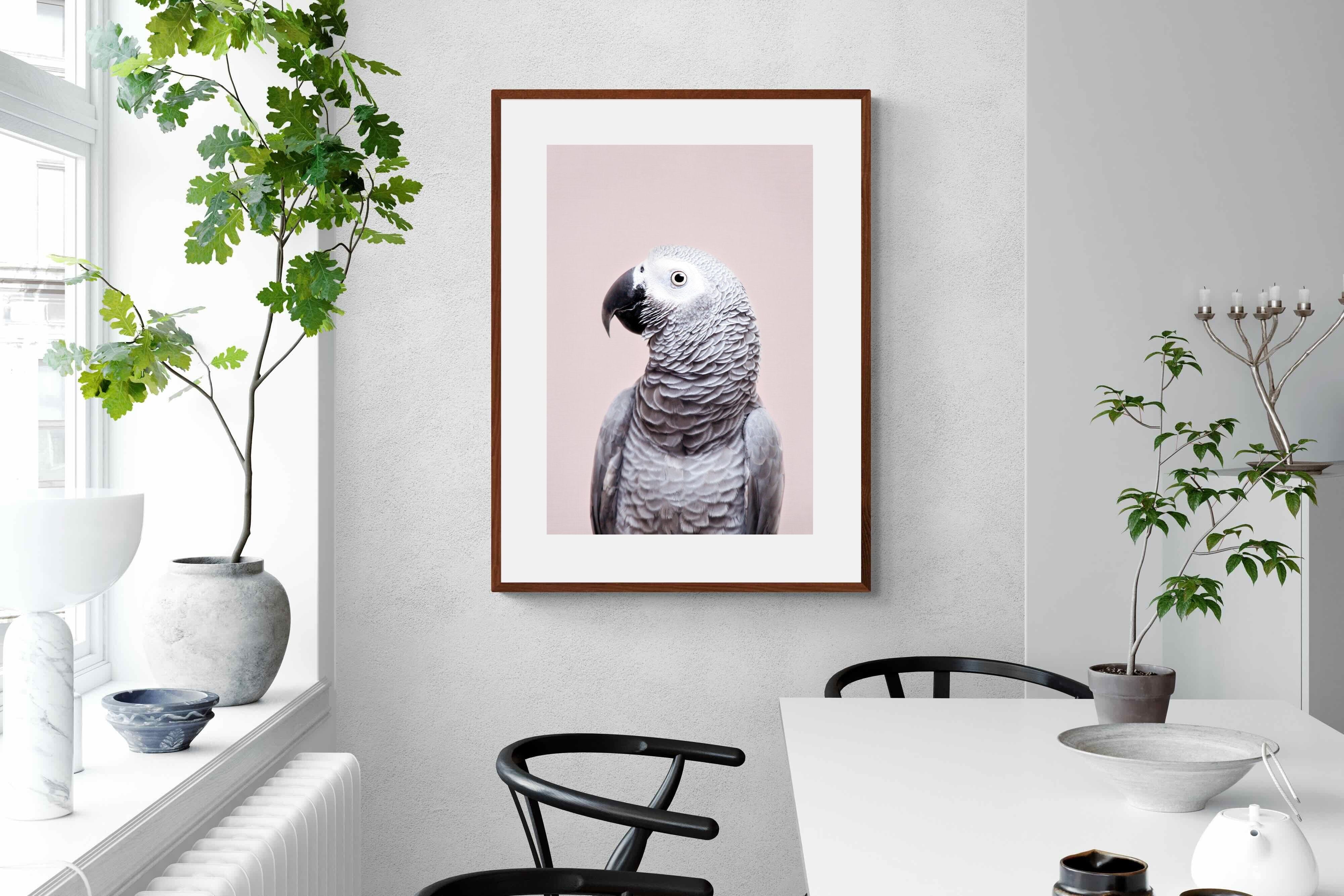 Pixalot African Grey