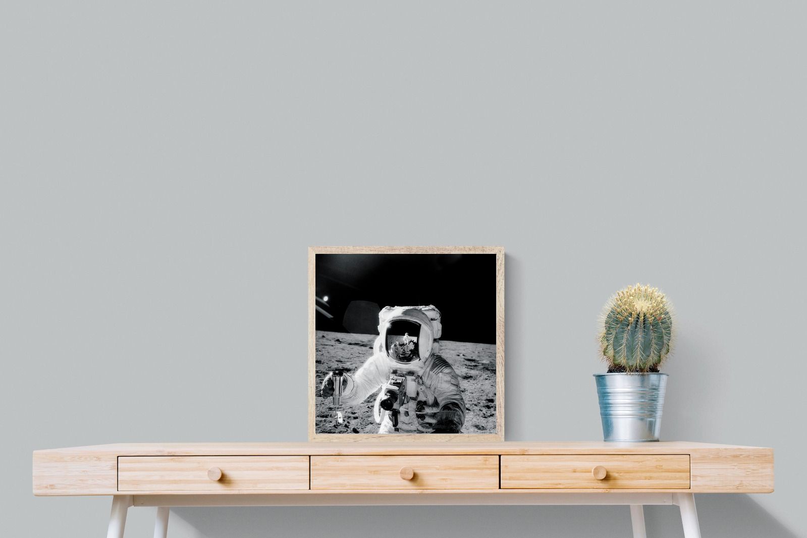 Pixalot Alan Bean