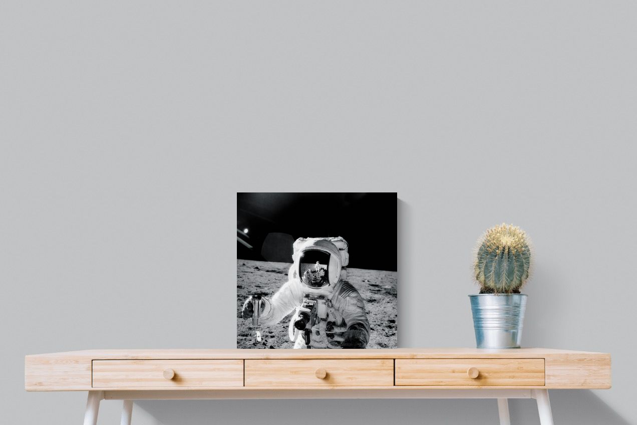 Pixalot Alan Bean