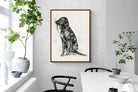 Pixalot Aldrich’s Dog