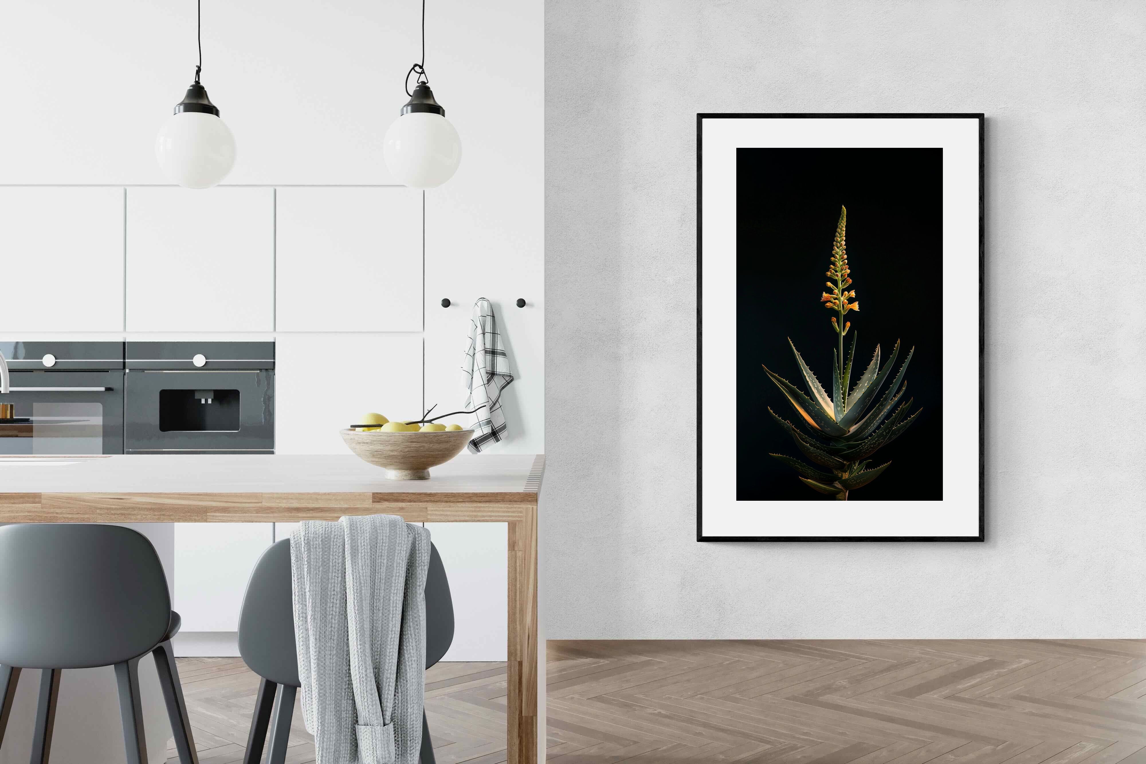 Pixalot Aloe Ascension